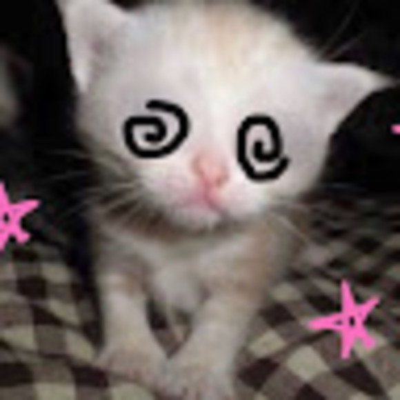 dollb0n3